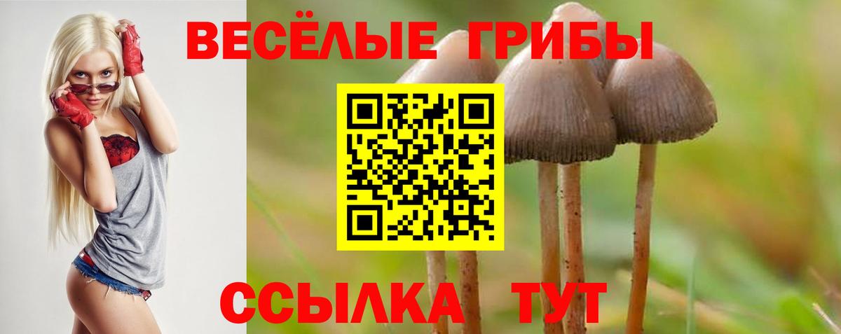 Майкоп  купить наркотик  Вход с VPN  Галлюциногенные грибы Psilocybine cubensis 